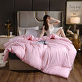 Axyaa Soybean Quilt: 4 Season Warmth, Single/Double, Thickened, Spring/Autumn/Winter