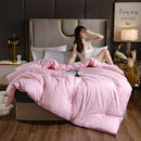 Axyaa Soybean Quilt: 4 Season Warmth, Single/Double, Thickened, Spring/Autumn/Winter