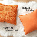 Axyaa Pumpkin Cushion Cover, Fall Decor Pillowcase for Couch