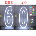 Axyaa Neon Double Digit Acrylic Digital Light for Birthday Party