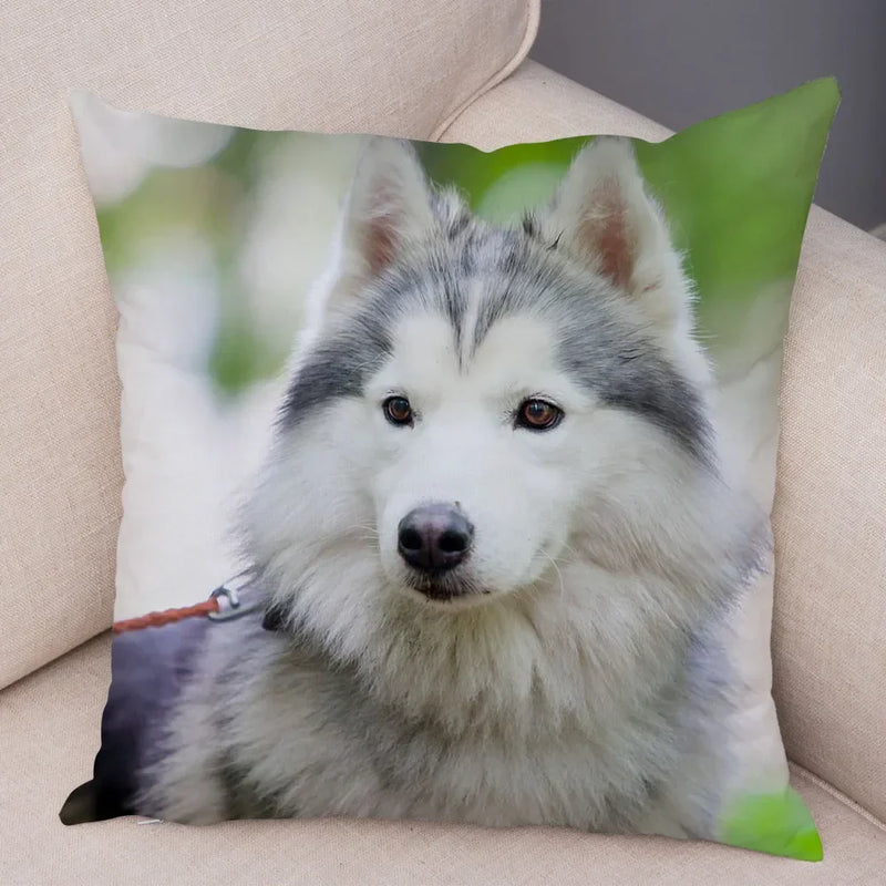 Siberian Husky Pillowcase - Axyaa Animal Cushion Cover, Decor, Cute, Dog Print