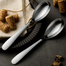 Axyaa Stainless Steel Long Handle Oval Pointed Spoon Set