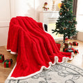 Axyaa Double Layer Taffeta Fleece Christmas Sofa Blanket French Style Bed Throw Blanket