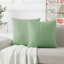Axyaa Chenille Velvet Cushion Cover 40x40 - Soft Luxury Living Room Decor