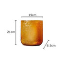 Axyaa Modern Glass Vase Hydroponic Flower Pot for Home Decor