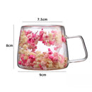 Axyaa Double Layer Glass Coffee Cup with Handle - High Temp Milk Mug