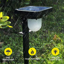 Axyaa Solar Garden Spot Light with Human Body Induction for Outdoor Pathway Lighting