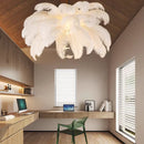 Axyaa Ostrich Feather LED Pendant Chandelier for Living Room and Bedroom