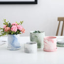 Axyaa Marble Ceramic Succulent Planter Set