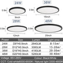 Axyaa 20" LED Smart Ceiling Lamp with Remote Control for Bedroom and Living Room