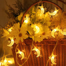 Axyaa Moon Star LED String Lights - Christmas Wedding Room Desk Decor