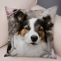 Axyaa Australian Shepherd Pillow Cover - Cute Dog Animal Cushion