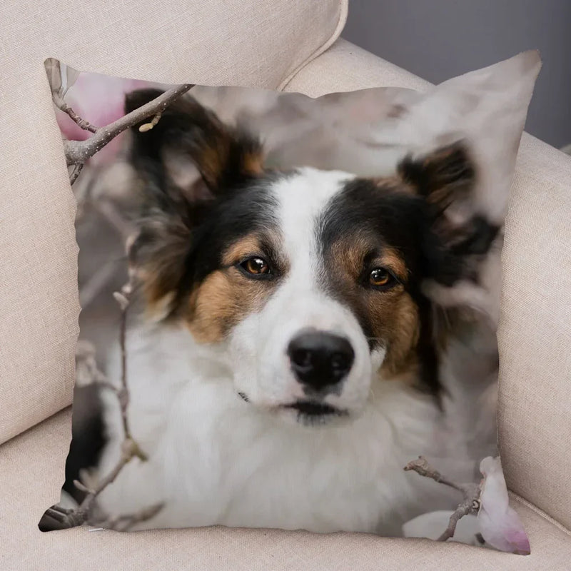 Axyaa Australian Shepherd Pillow Cover - Cute Dog Animal Cushion