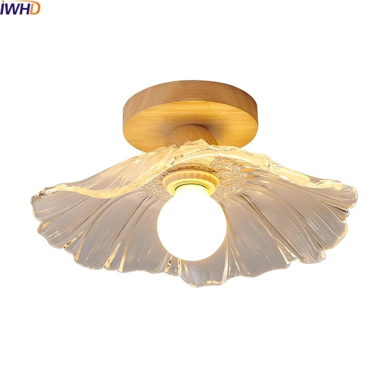 Axyaa Clear Glass LED Ceiling Lights Modern Ceiling Lamp Home Lighting