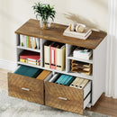 Axyaa Wood File Cabinet: 2 Drawers, Mobile, Lateral, Letter Size, Printer Stand