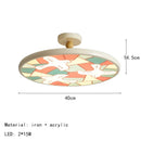 Modern Colorful Iron Acrylic Ceiling Light for Home, Villa, Bedroom, Restaurant & Foyer