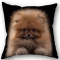 Axyaa Pomeranian Dog Pillowcase Cotton Linen Square Zipper 45X45cm Wedding Decor Pillow cover