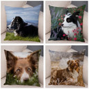 Scottish Border Collie Pillowcase - Axyaa Dog Print Decor Cushion Cover