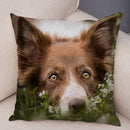 Scottish Border Collie Pillowcase - Axyaa Dog Print Decor Cushion Cover