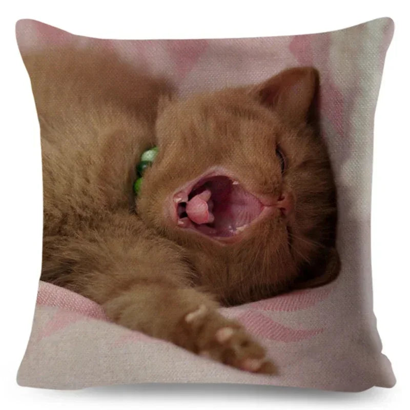 Axyaa Fold Ear Cat Pillow Covers - Set of 2 Cute Pet Pillowcases