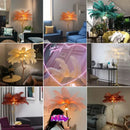 Luxury Ostrich Feather Floor Lamp by Axyaa - Elegant Home Decor & Lighting Solution
