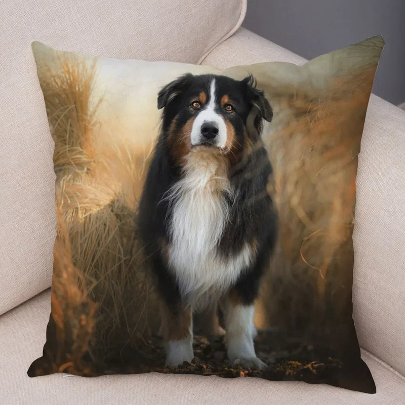 Axyaa Australian Shepherd Pillow Cover - Cute Dog Animal Cushion