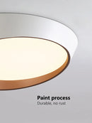 Axyaa Modern Minimalist LED Ceiling Lamp for Bedroom, Living Room, Dining Room