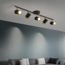 Axyaa Modern Ceiling Light with Spotlight for Home Indoor Decor
