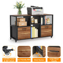 Axyaa Wood File Cabinet with 2 Drawers, Mobile Lateral Filing, Printer Stand