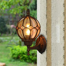 Axyaa Farmhouse Barn Light with Globe Glass Shade Wall Lantern