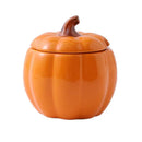 Axya Cartoon Pumpkin Soup Bowl with Lid & Condiment Box