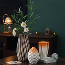 Axyaa Geometric Pleated Ceramic Vase - Abstract Stripes Flowerpot