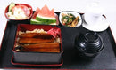 Axya Eel Lunch Box: Japanese Bento Container for Office, School, and Snacks