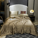 Axyaa Embroidered Washed Silk Ice Silk Tencel Summer Quilt - Fade-Resistant, Cool