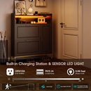 Axyaa Shoe Storage: 2 Flip Drawers, Side Cabinet, LED Light, Charging Station
