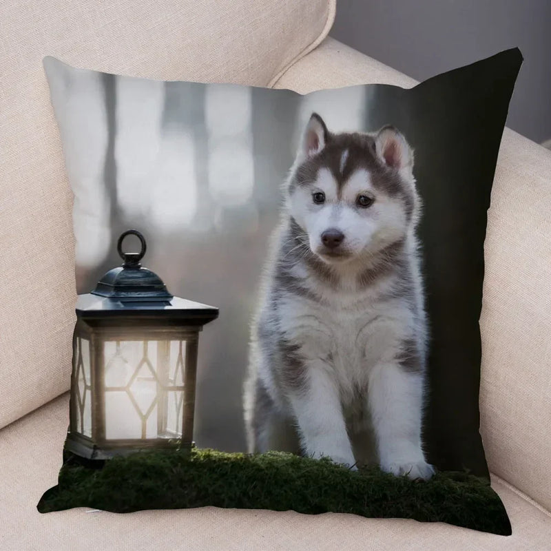 Axyaa Siberian Husky Pet Sofa Cushion Cover - Cute Dog Print Pillowcase Decor