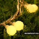 Axyaa Multicolour LED String Lights | Waterproof Fairy Lights for Outdoor, Garden, Xmas, Wedding