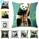 Axyaa Panda Cartoon Cushion Cover – 45x45cm Polyester Throw Pillowcase for Home Decor