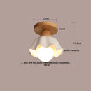 Axyaa Clear Glass LED Ceiling Lights Modern Ceiling Lamp Home Lighting