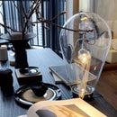 Clear Glass Table Lamp USB Charging Warm Light 3000K Axyaa Bedroom Desk Light