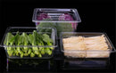 Axya Clear Acrylic GN Pans Food Containers Display Tray Storage Box