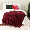Axyaa Chenille Throw Blanket Fringe Tassels Soft Cozy Knit Sofa Christmas Decor
