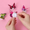 3D LED Butterfly Sticker Night Light Set for Home Decor by Axyaa