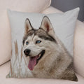 Siberian Husky Pillowcase - Axyaa Animal Cushion Cover, Decor, Cute, Dog Print