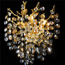 Axyaa Luxury Crystal Wall Lamp for Home Indoor Decor