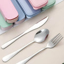 Axyaa Stainless Steel Cutlery Set with Storage Box: Fork, Spoon, Knife, Chopstick - 4pcs