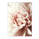 Pink Flower Palm Balloon Canvas Painting Nordic Posters for Modern Living Room Decor by Axyaa