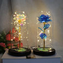 Axyaa Eternal Rose Night Light - LED Beauty and the Beast Magic Flower Lamp