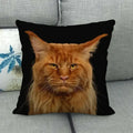Fat Orange Cat Print Cushion Cover 45x45cm by Axyaa: Animal Pattern Home Decor Pillowcase
