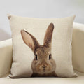 Animal Print Cushion 45x45cm for Sofa, Car Seat & Living Room Decor by Axyaa